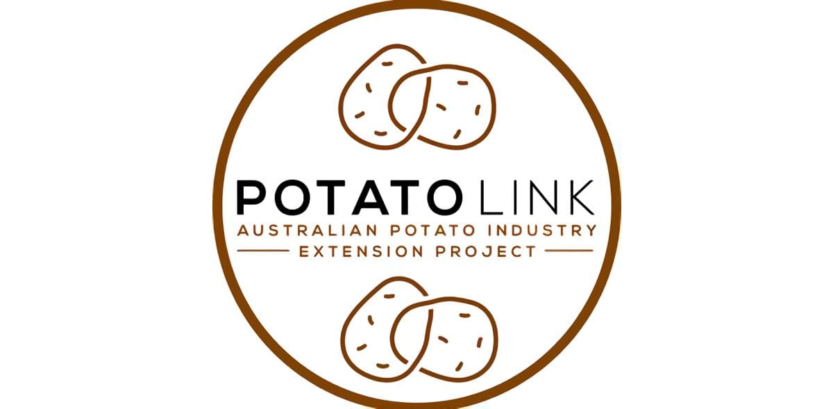PotatoLink logo