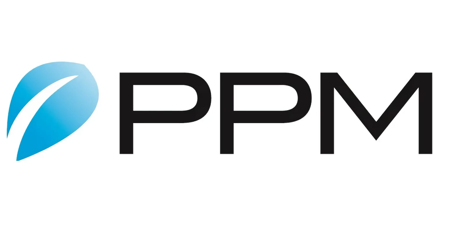 PPM Technologies Inc. logo