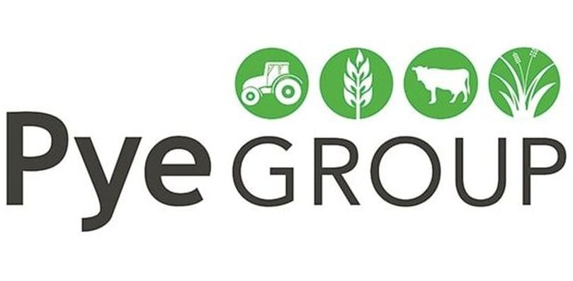 Pye Group logo