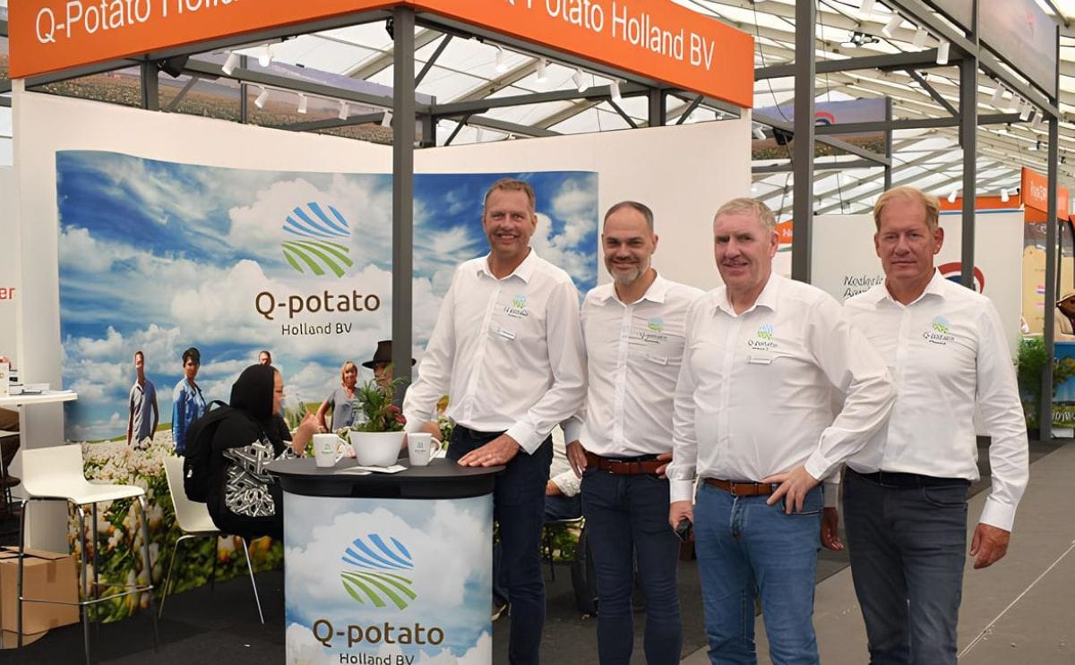 Q potato team