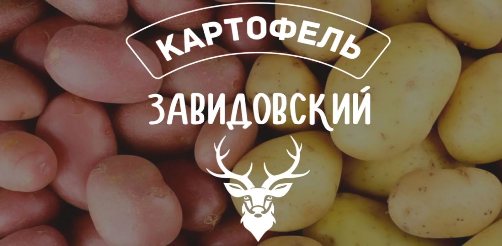 Zavidovky Potatoes logo