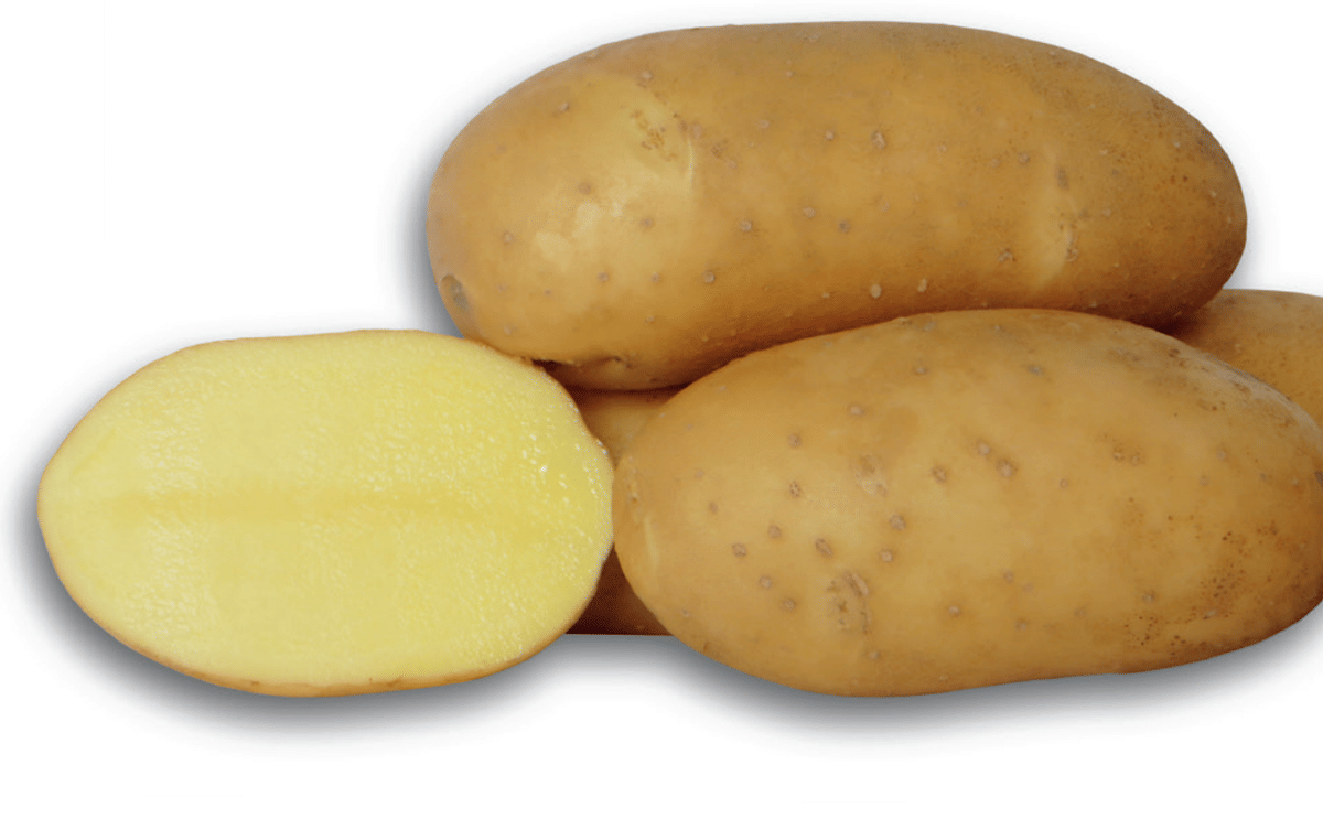 Chenoa Seed Potatoes