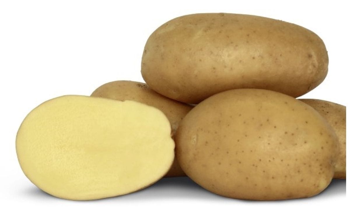 Francis Seed Potatoes