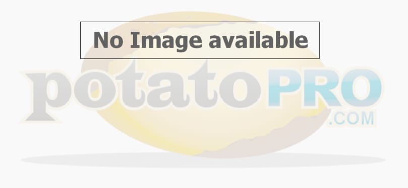 Potatopro no available