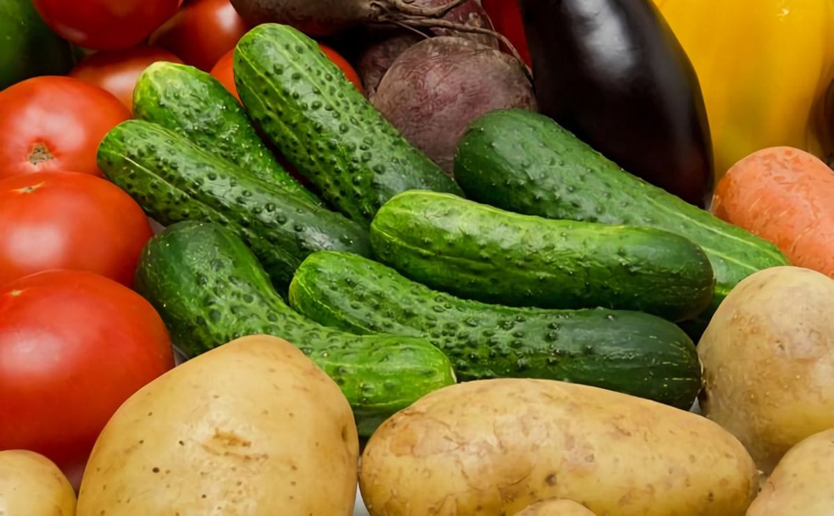 Russian retail may offer economy class tubers and cucumbers for sale