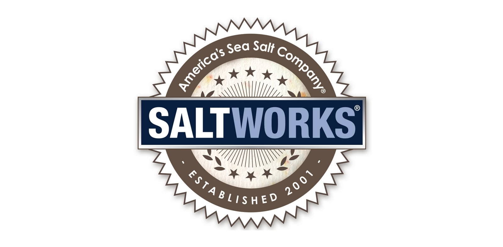 SaltWorks Inc logo