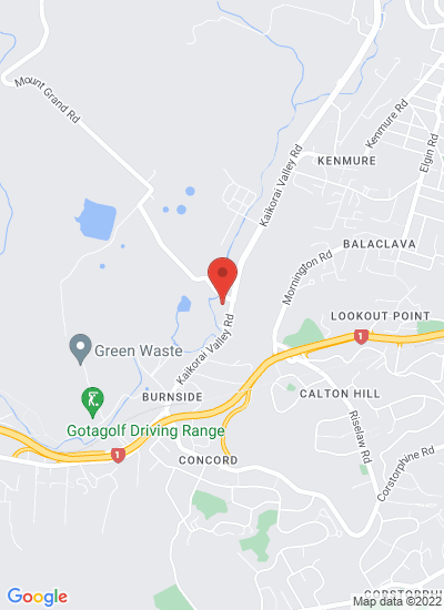 Map showing Dunedin, New Zealand