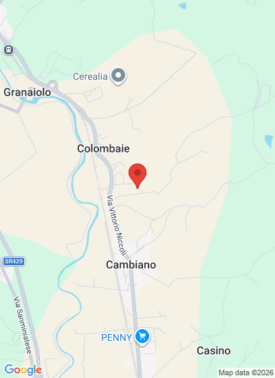Map showing Castelfiorentino, Italy