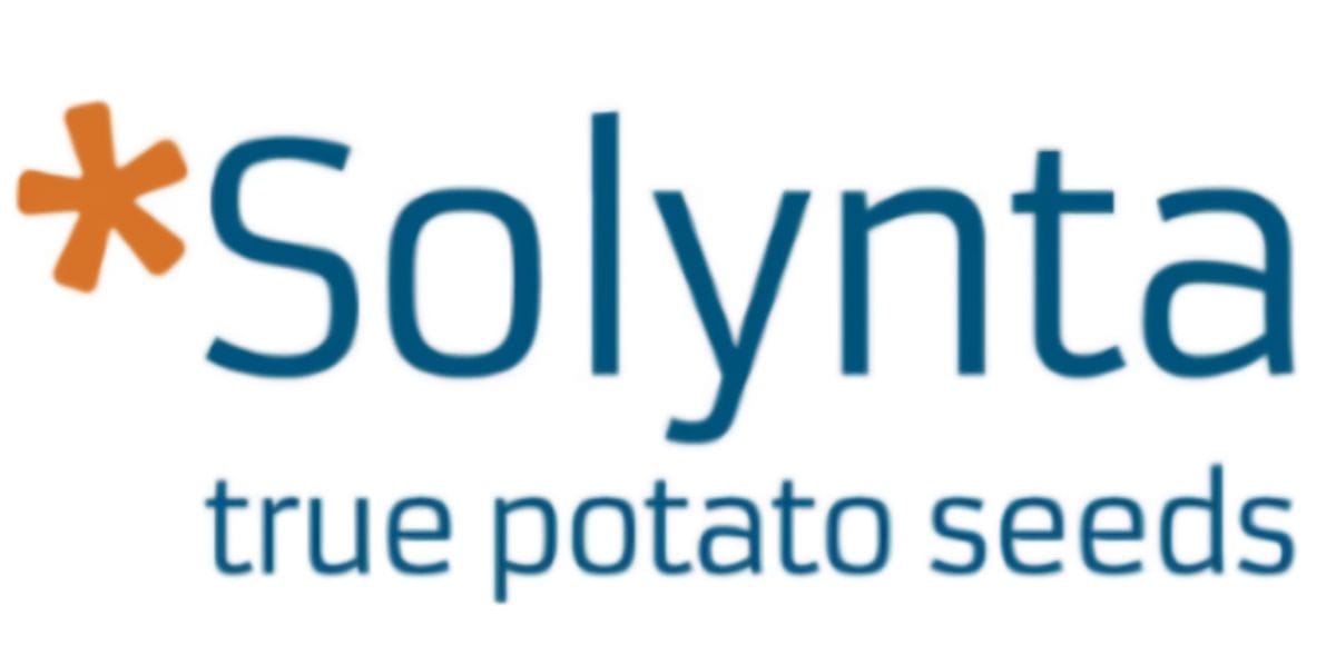 Solynta logo