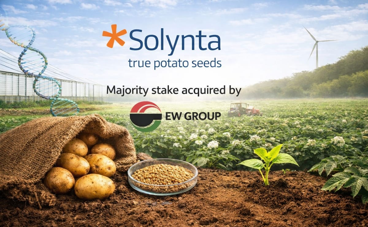 Solynta ew group majority stake investment