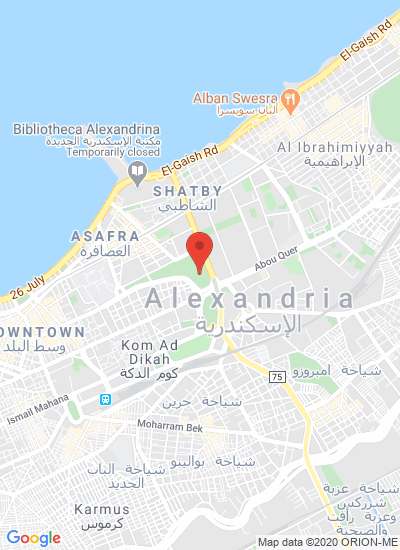 Map showing Egypt