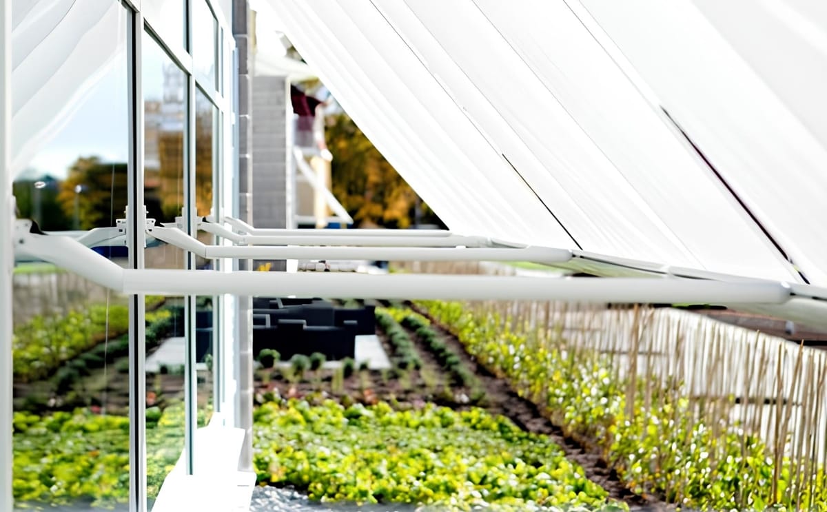 A helping gene for healthier plants