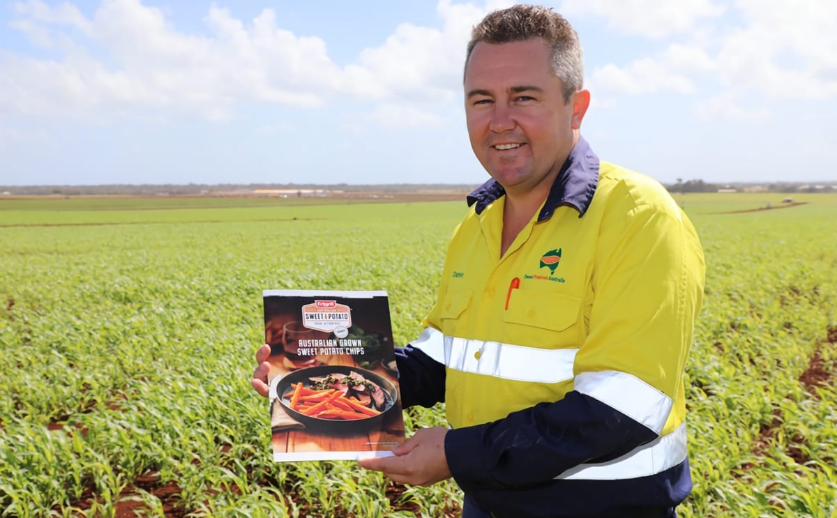Bundaberg sweet potato chips go australia