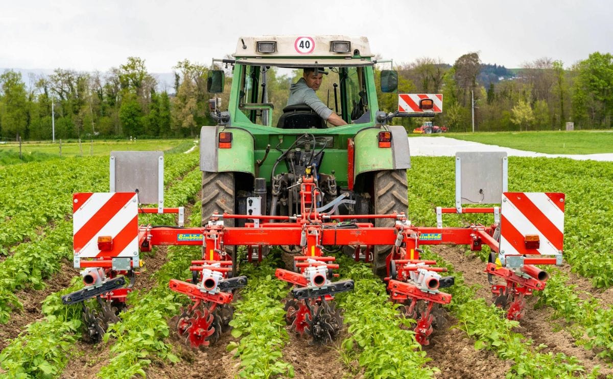 Switzerland potato field cultivation harvest