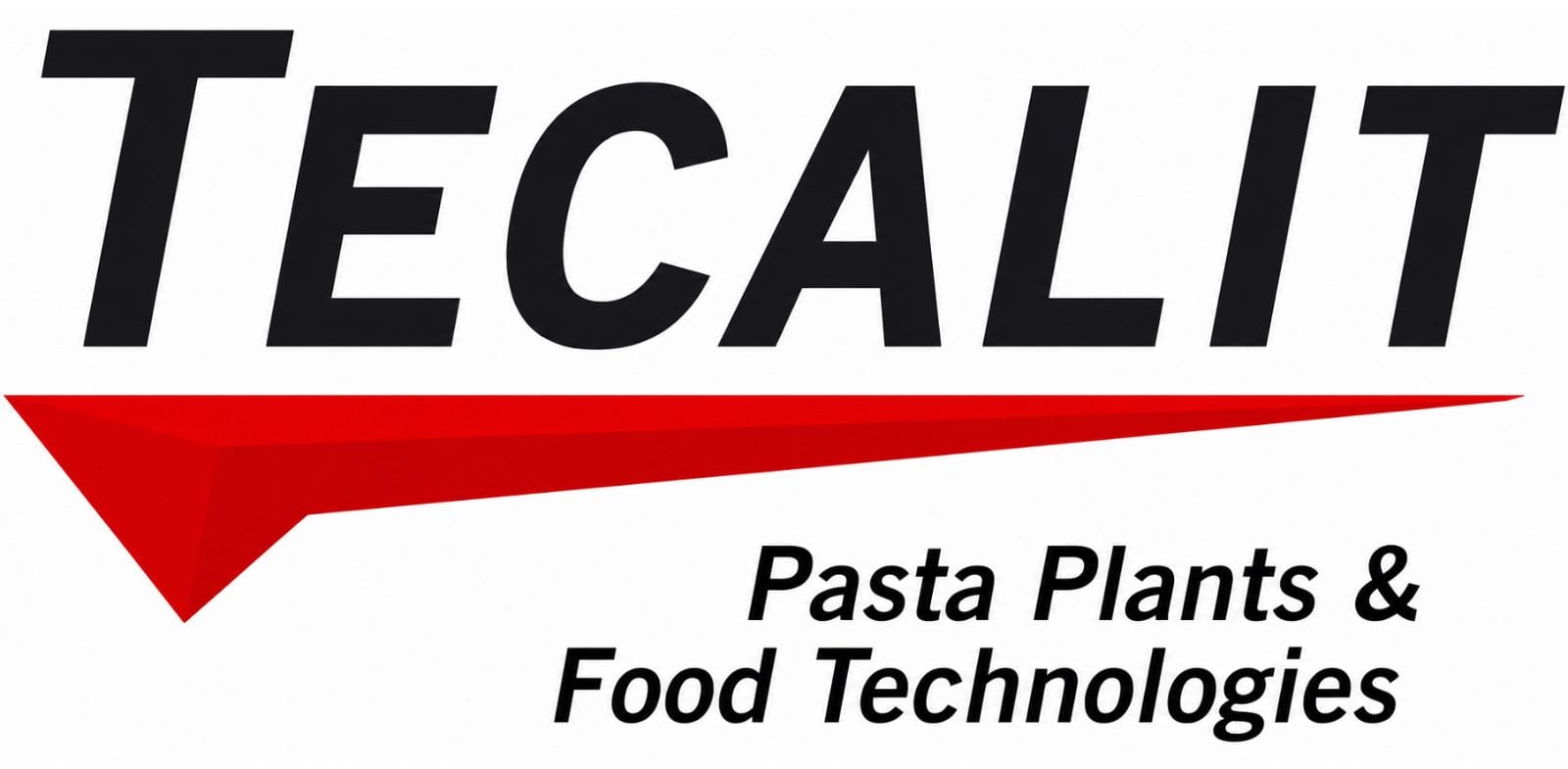 Tecalit srl logo
