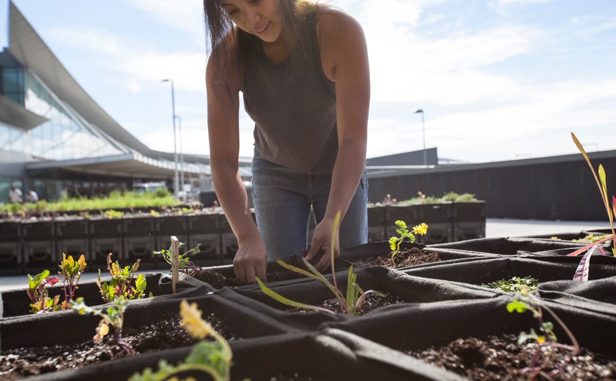 Jetblue jfk t5 rooftop garden