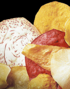 Terrachips