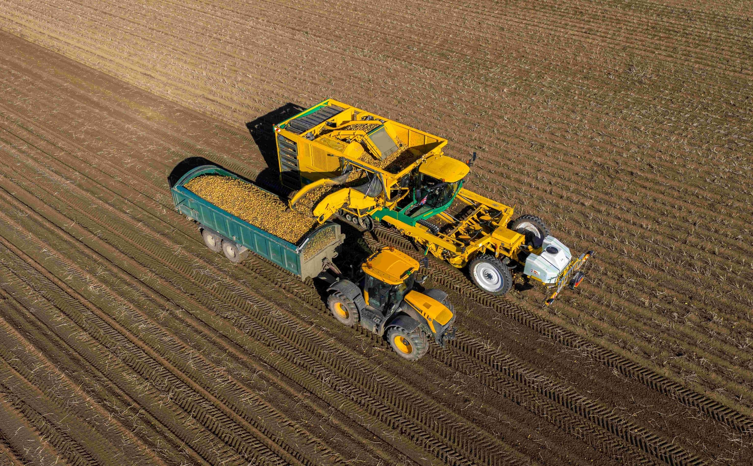 Low carbon concept farm georgina harvest