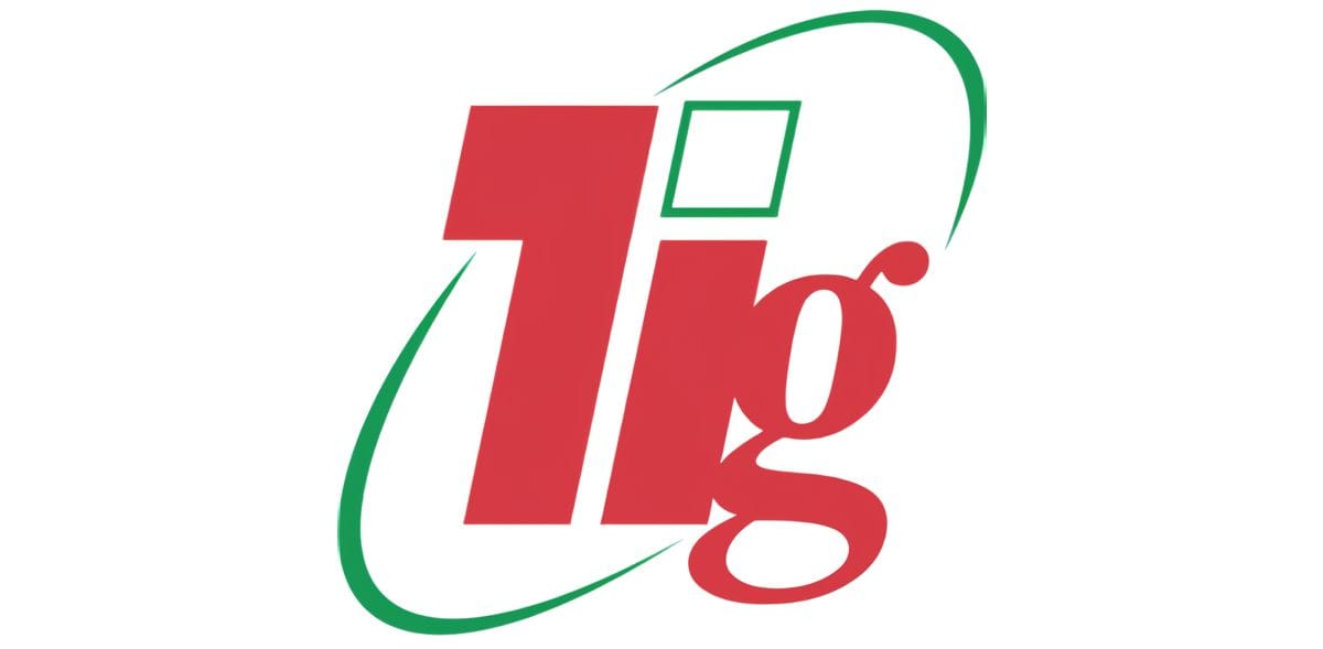 T&I Global Limited logo