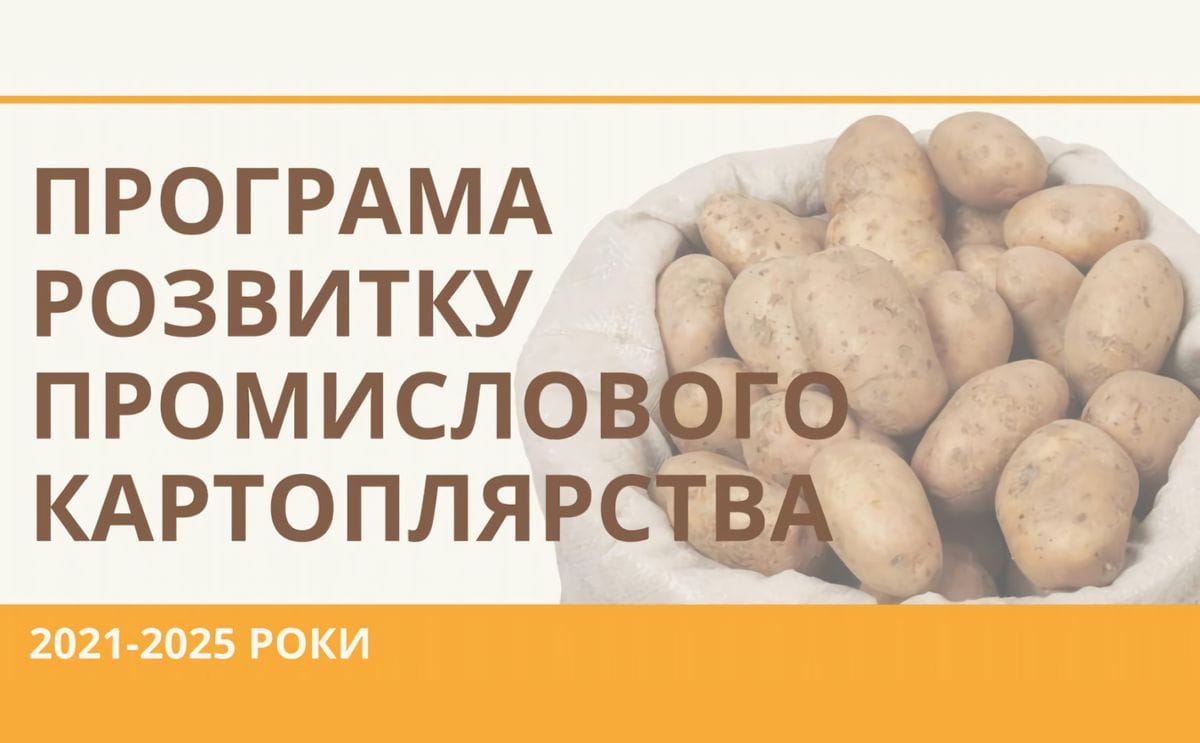 Ukrainian state funded program on development of potato sector