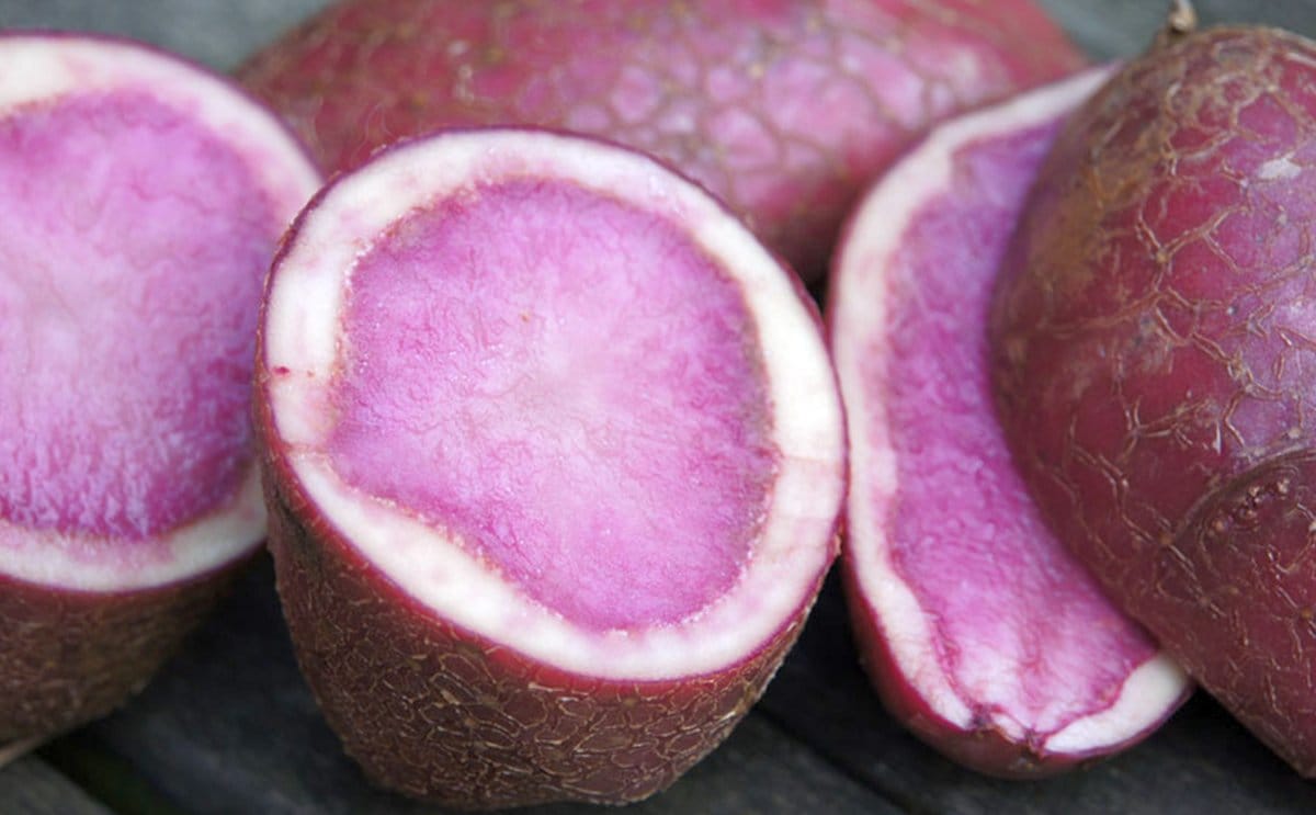 Red potato pulp 1