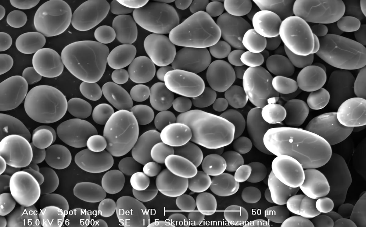 Potatostarchgranules