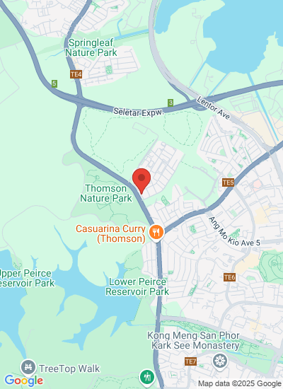 Map showing Singapore