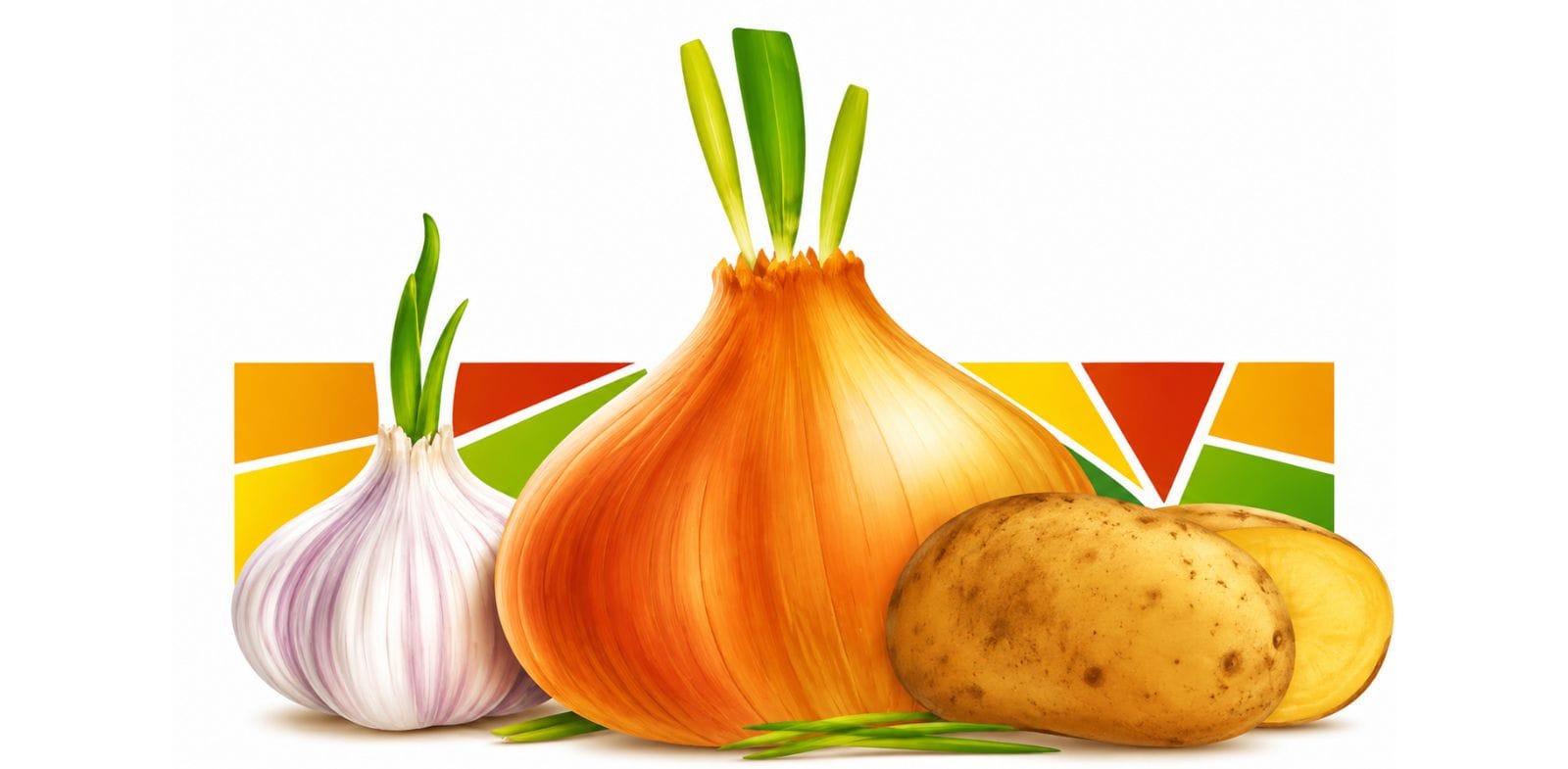 Vighnahar Agro Export logo