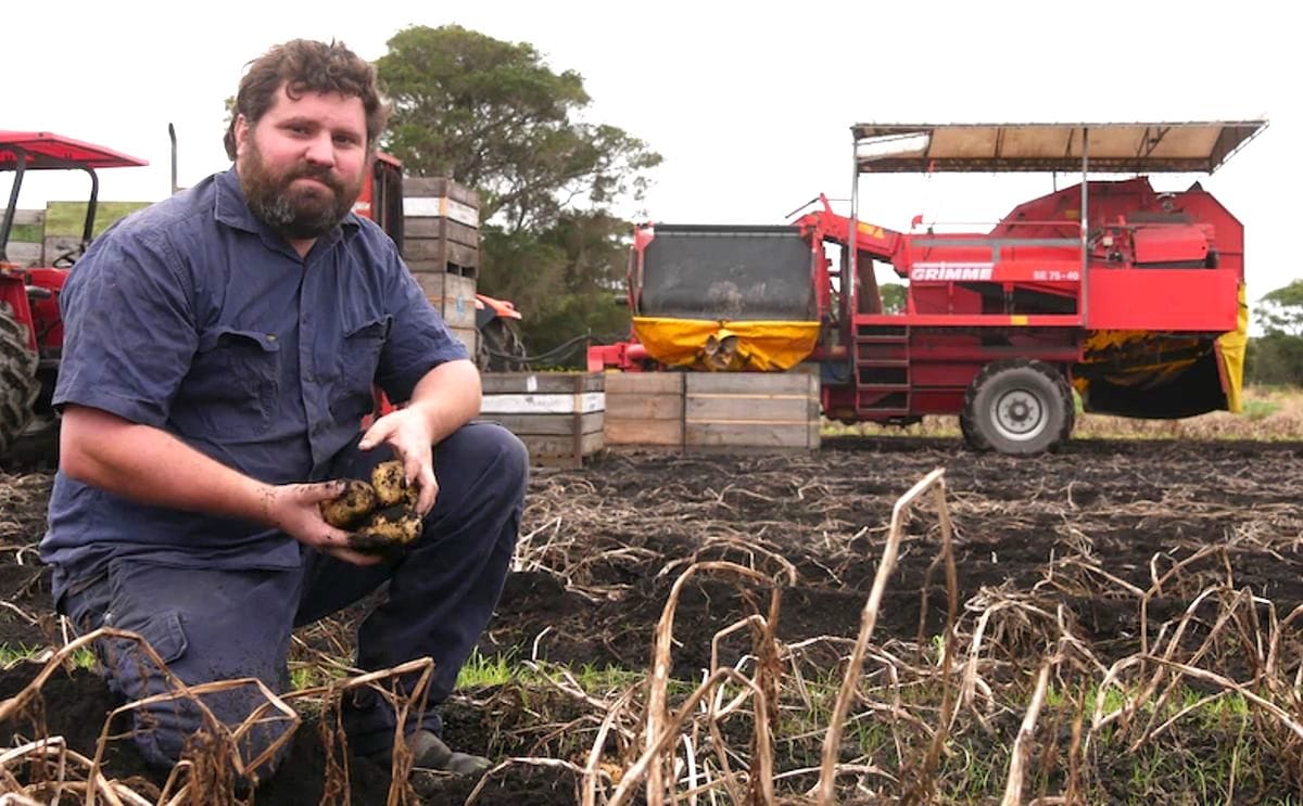 Julian ackley risks losing his farms profit for the year if rain doesnt clear up