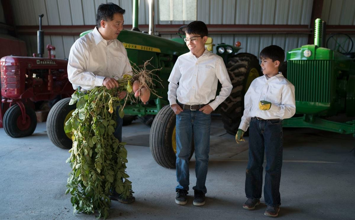 Potato grading consistent product quality at wada farms