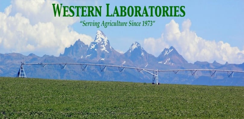 Western Laboratories logo