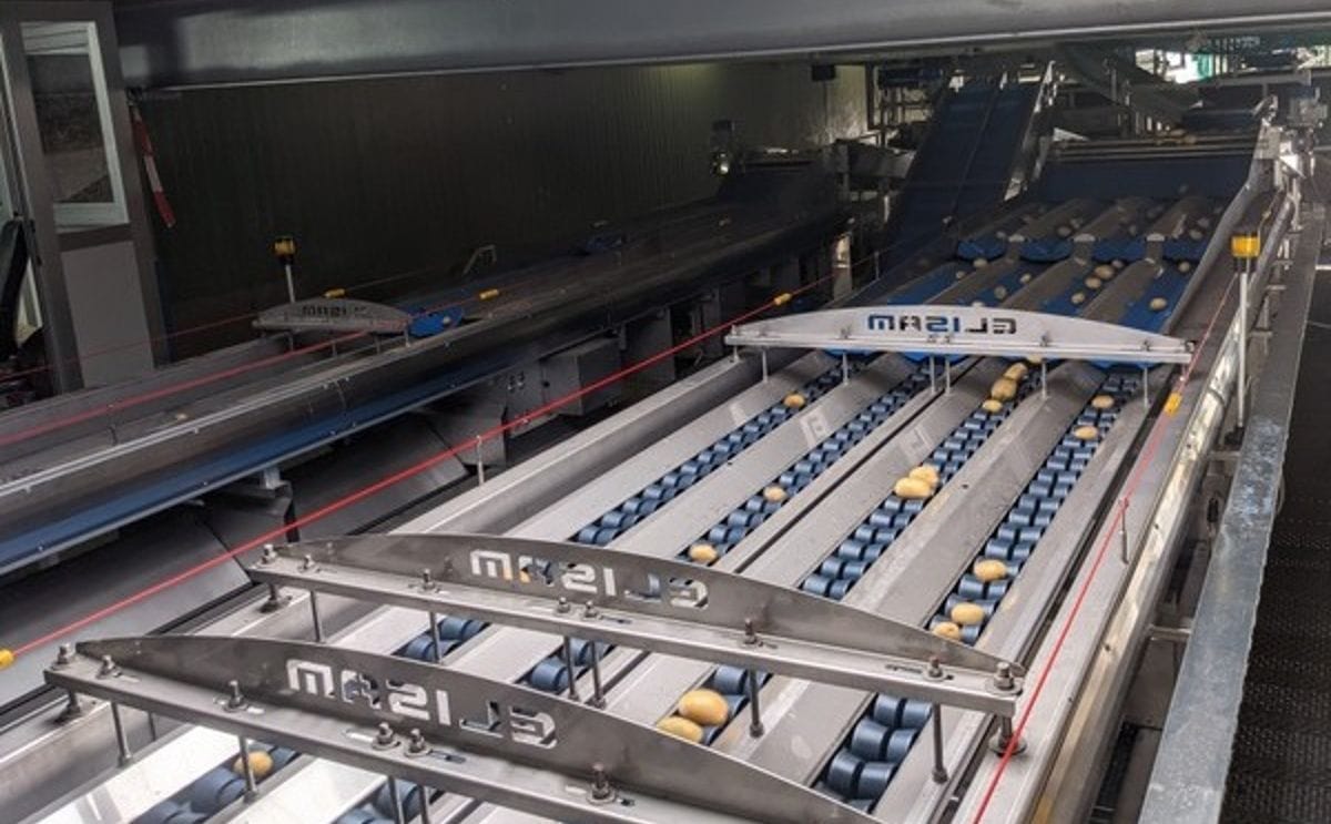 New optical potato sorter of wilhelm weyers