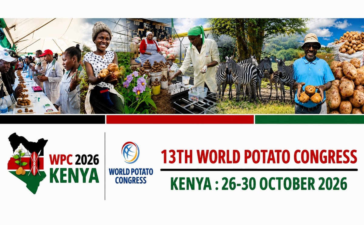 13th wpc