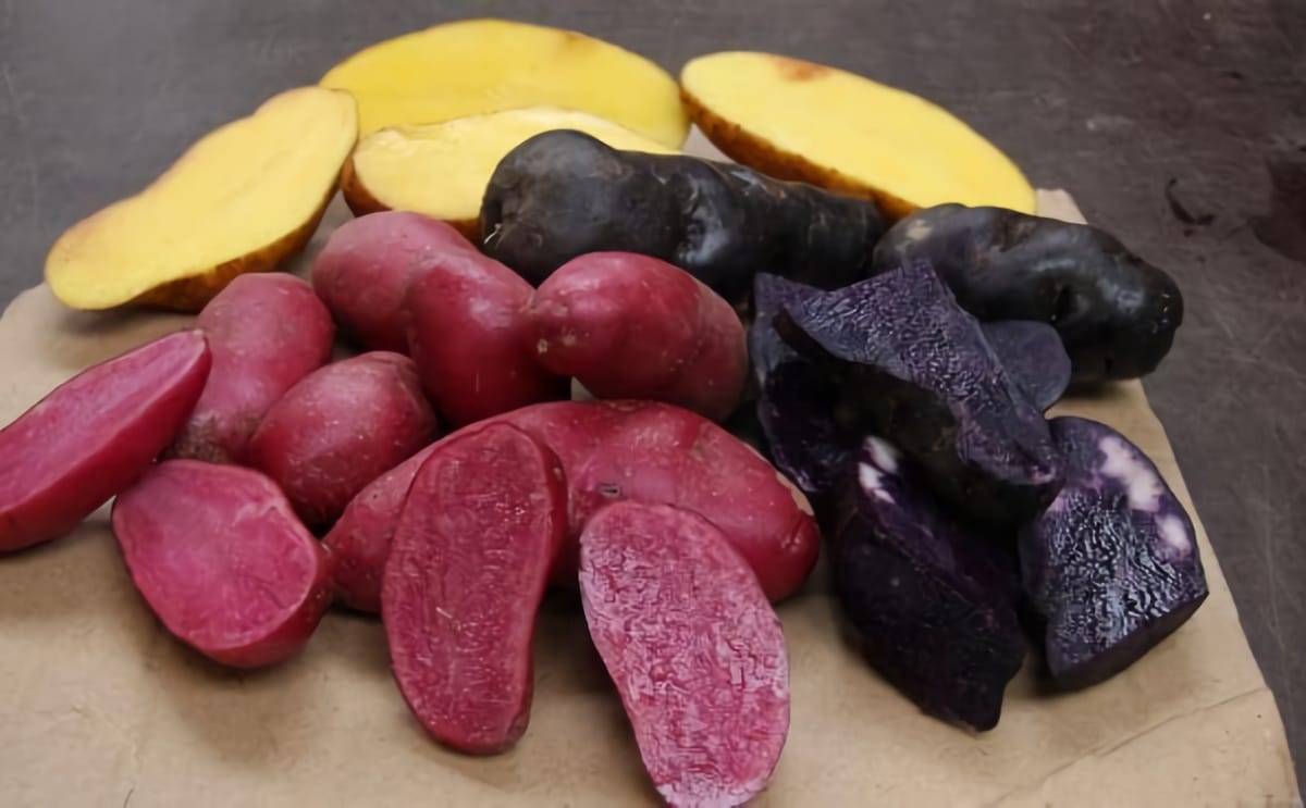 Yum tasmania gourmet potatoes