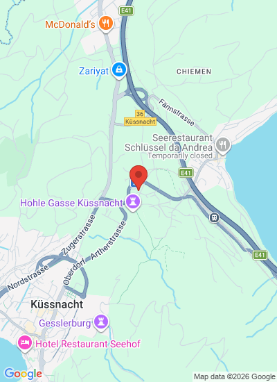 Map showing Immensee, Switzerland