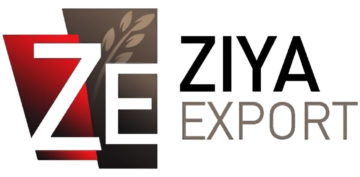 Ziya Export logo